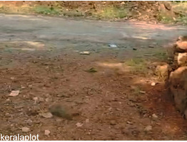 30 cent land for sale Ollipuram