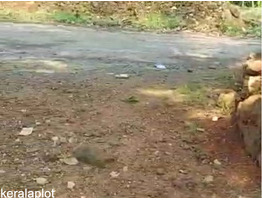 30 cent land for sale Ollipuram
