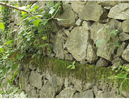 House for sale calicut