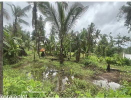 87 cent land for sale Near mala