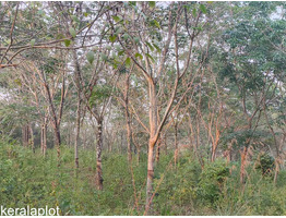18 Acers Rubber estate and House for sale