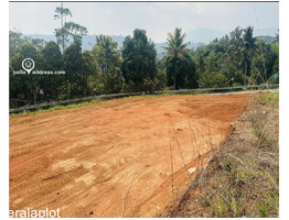 60 cent land for sale rajakkad, Josegiri