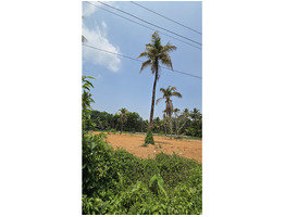 70.5 cent land for sale near  mala annamanada town