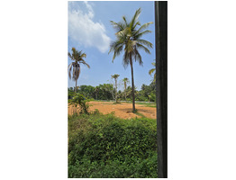 70.5 cent land for sale near  mala annamanada town