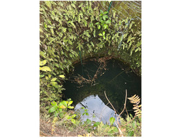 87.5 cent land with old house for sale near Eravathoor