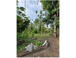 87.5 cent land with old house for sale near Eravathoor