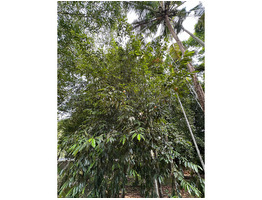 87.5 cent land with old house for sale near Eravathoor