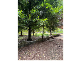 87.5 cent land with old house for sale near Eravathoor
