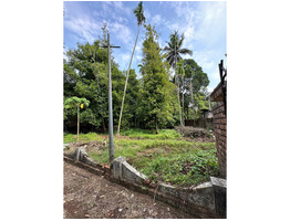 87.5 cent land with old house for sale near Eravathoor