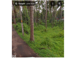 48 cent land for sale near koothuparamba