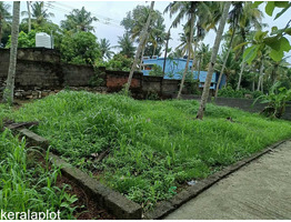 4.7 Residential Land for sale near mannathala mukkola school