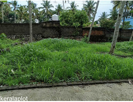 4.7 Residential Land for sale near mannathala mukkola school