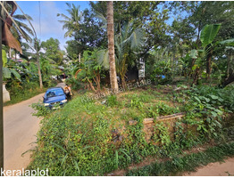 13 cent land for sale Vadakara mukkali town