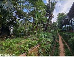 13 cent land for sale Vadakara mukkali town