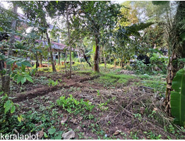 13 cent land for sale Vadakara mukkali town