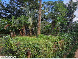 13 cent land for sale Vadakara mukkali town