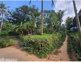 13 cent land for sale Vadakara mukkali town