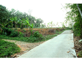 25 cent land for sale near Thodupuzha Idukki district