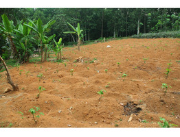 25 cent land for sale near Thodupuzha Idukki district