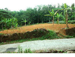 25 cent land for sale near Thodupuzha Idukki district
