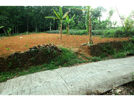 25 cent land for sale near Thodupuzha Idukki district