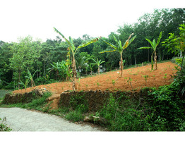 25 cent land for sale near Thodupuzha Idukki district
