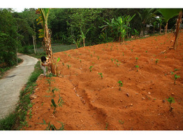 25 cent land for sale near Thodupuzha Idukki district