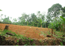 25 cent land for sale near Thodupuzha Idukki district