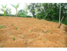 25 cent land for sale near Thodupuzha Idukki district