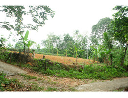 25 cent land for sale near Thodupuzha Idukki district