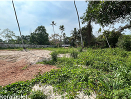 25.4 cent land for sale mariyankulam
