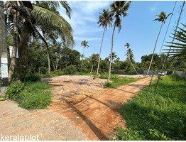 25.4 cent land for sale mariyankulam