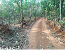 5 Acers Land for sale near Kunnamkulam - wadakkanchery Highway