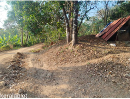 5 Acers Land for sale near Kunnamkulam - wadakkanchery Highway