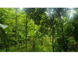 1.9 Acres Land For Sale Near Chingavanam, Kottayam District