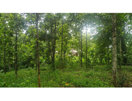1.9 Acres Land For Sale Near Chingavanam, Kottayam District