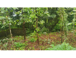 1.9 Acres Land For Sale Near Chingavanam, Kottayam District
