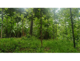 1.9 Acres Land For Sale Near Chingavanam, Kottayam District