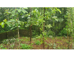 1.9 Acres Land For Sale Near Chingavanam, Kottayam District