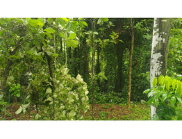 1.9 Acres Land For Sale Near Chingavanam, Kottayam District