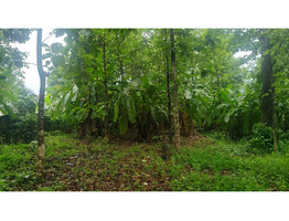 1.9 Acres Land For Sale Near Chingavanam, Kottayam District