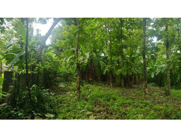 1.9 Acres Land For Sale Near Chingavanam, Kottayam District