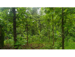 1.9 Acres Land For Sale Near Chingavanam, Kottayam District