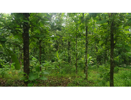 1.9 Acres Land For Sale Near Chingavanam, Kottayam District