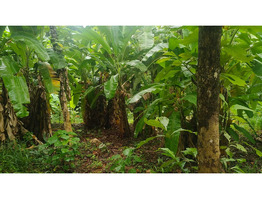 1.9 Acres Land For Sale Near Chingavanam, Kottayam District