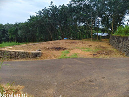 7 cent land for sale near Vettikkal Thiruvaniyur Global School