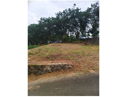 7 cent land for sale near Vettikkal Thiruvaniyur Global School