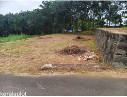 7 cent land for sale near Vettikkal Thiruvaniyur Global School