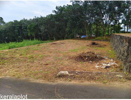 7 cent land for sale near Vettikkal Thiruvaniyur Global School