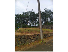 7 cent land for sale near Vettikkal Thiruvaniyur Global School